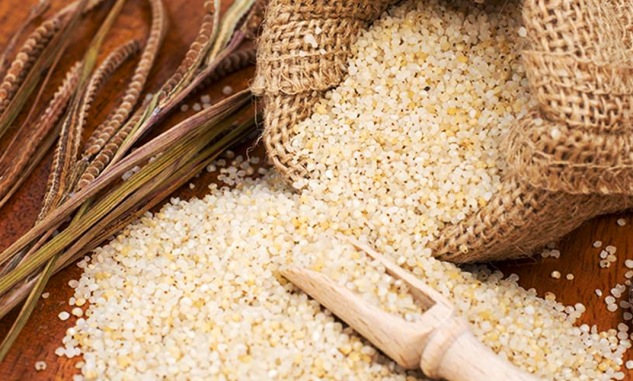 Samo In English Barnyard Millet - Complete Information Including Health Benefits ...