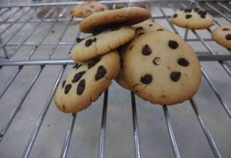 Choco-chip cookies Recipe