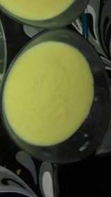 Mango Yogurt Recipe