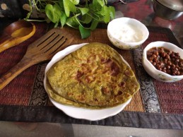 MORIANGA POWDER PARATHA