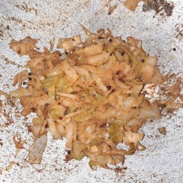 Patagobhi
