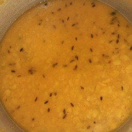 Arhar dal