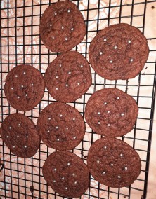 Brown velvet
