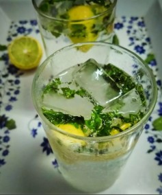Mint Mojito Recipe