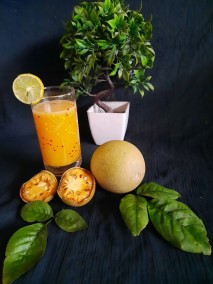 Woodapple Squash Recipe