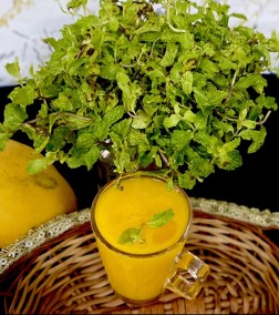 Mint Mango Juice Recipe