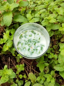 Mint Buttermilk Recipe