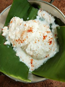 Snow Idli Idli