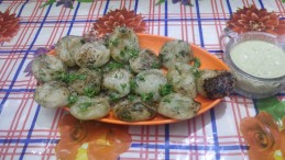 Saboo dhana ka paddu Recipe