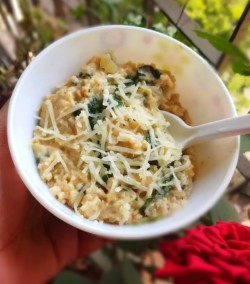 Creamy Spinach and Quinoa Recipe