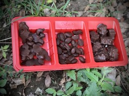 Dryfruit Chocolates Recipe