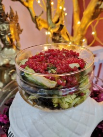 Beetroot carrot shorba on roasted pumpkin fennel salad Recipe