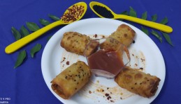 Leftover dry mix veg spring roll recipe