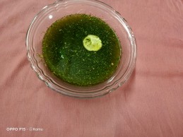 Pudina Pani Recipe