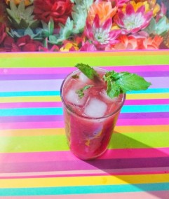 WATER MELON PUDINA FUSION RECIPE