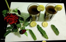 Coriander mint mojito recipe