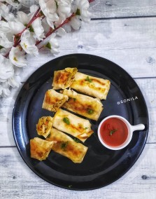 Crispy Panfried Chicken Spring Roll Recipe