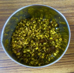 Sprout Recipe