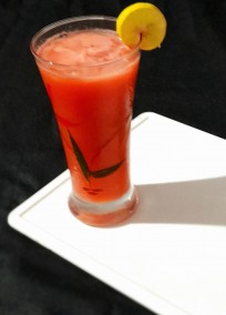 Watermelon Orange Mojito Recipe